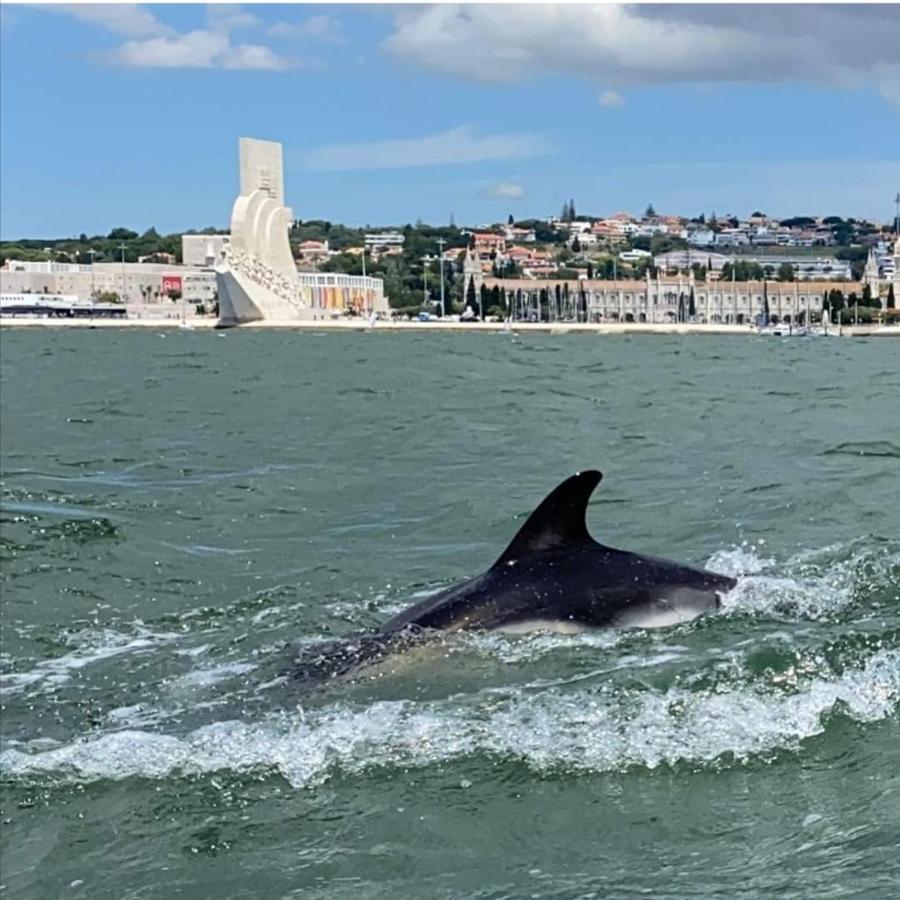 Tejo House River Lisbon Алмада Экстерьер фото